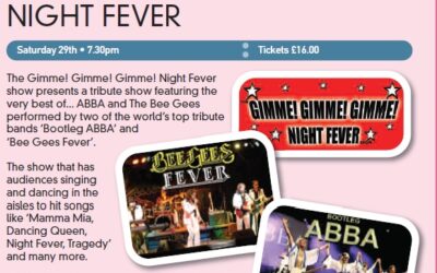 Gimme! Gimme! Gimme! Night Fever